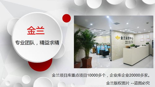 开封专业项目建议书与市场营销策划服务公司的价值解析